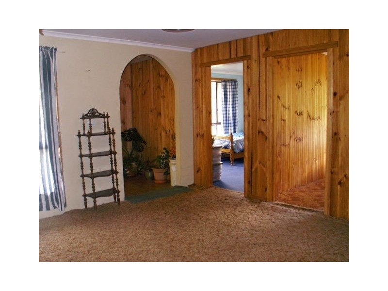 158 Buckneys Road, Scottsdale TAS 7260