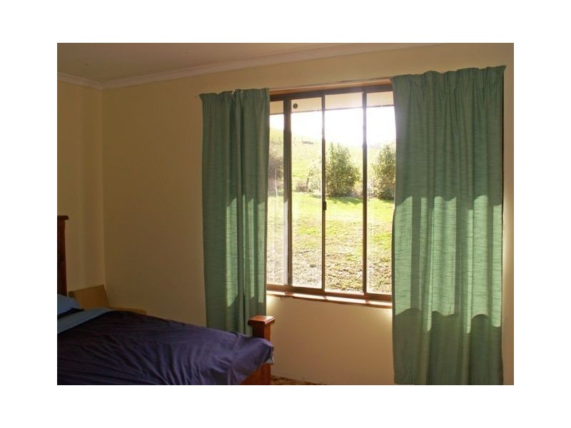 158 Buckneys Road, Scottsdale TAS 7260