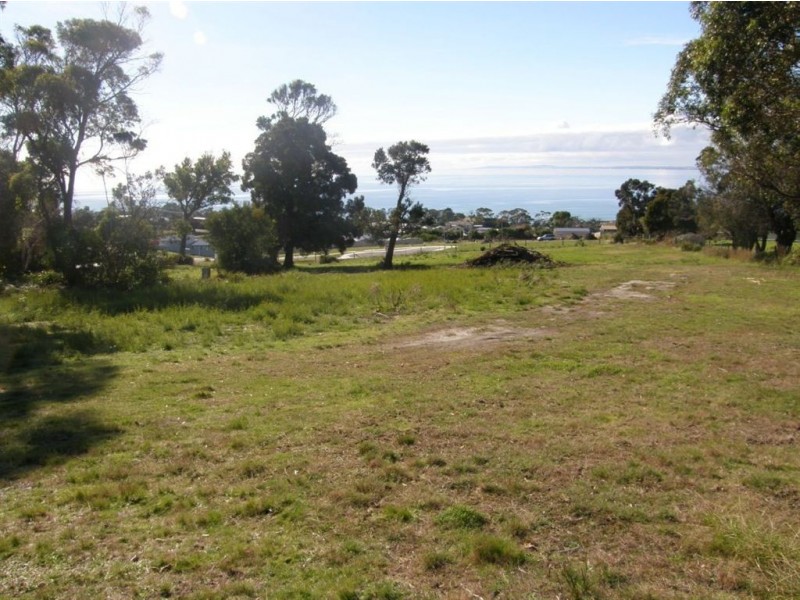 45 Henry Street, Bridport TAS 7262