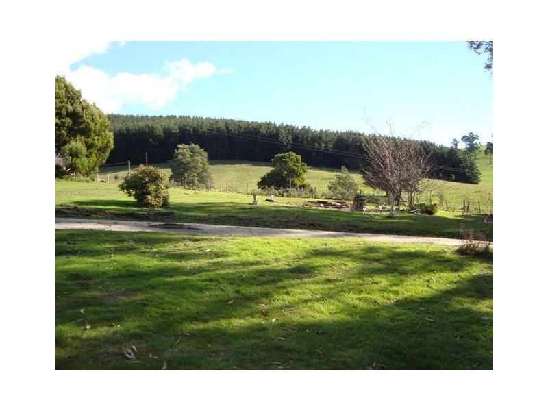 393 Ten Mile Track, Springfield TAS 7260