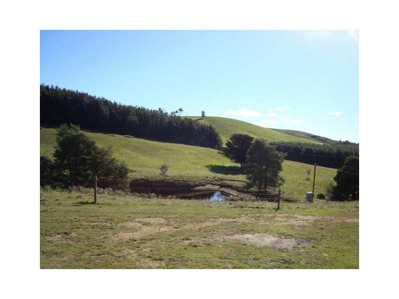 393 Ten Mile Track, Springfield TAS 7260
