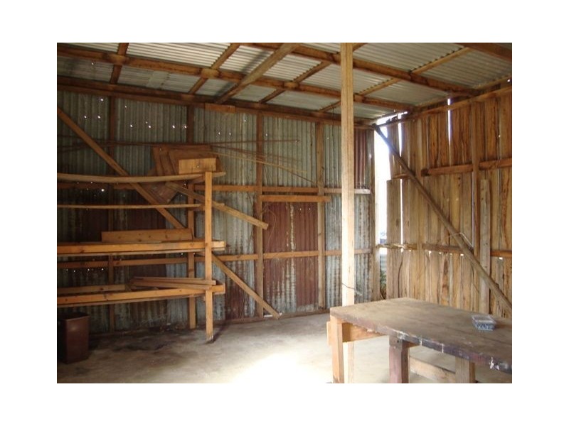 393 Ten Mile Track, Springfield TAS 7260