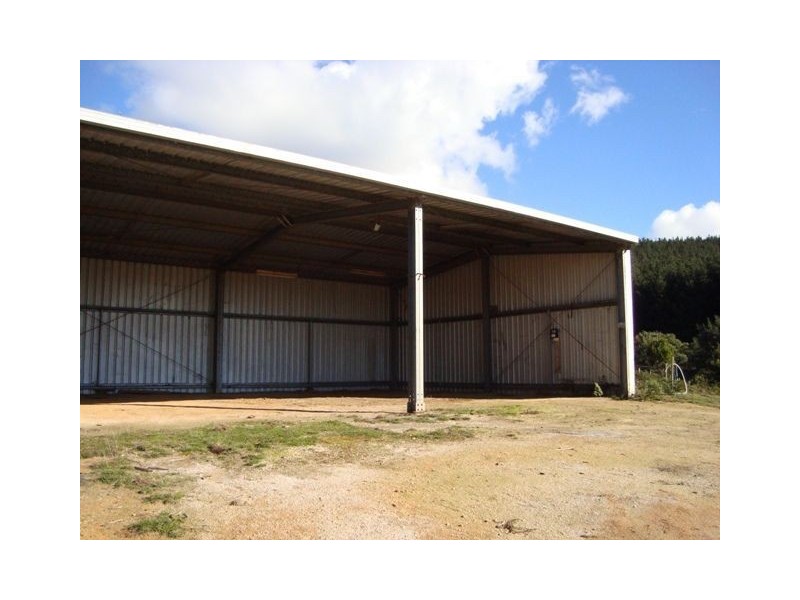 393 Ten Mile Track, Springfield TAS 7260