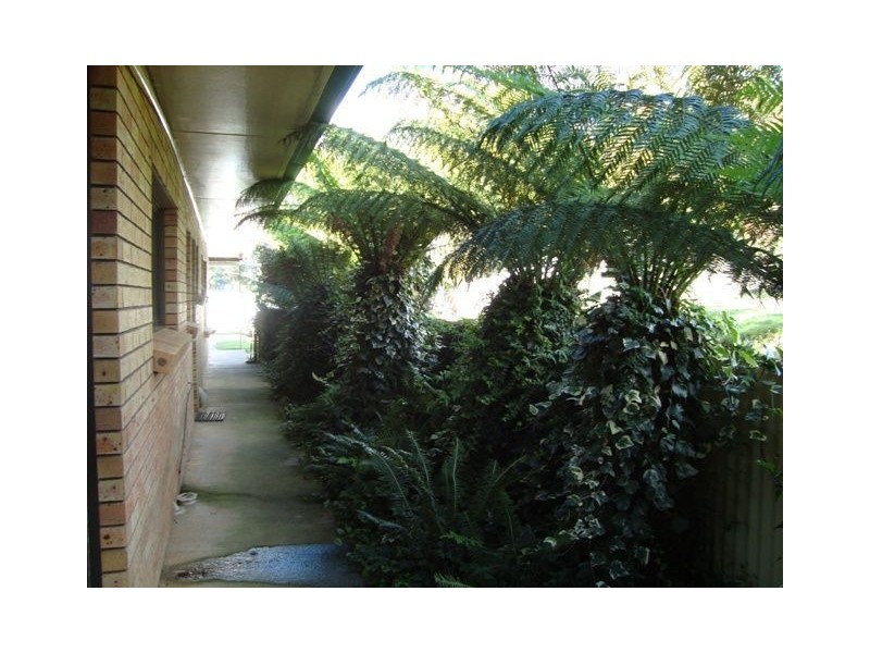 393 Ten Mile Track, Springfield TAS 7260