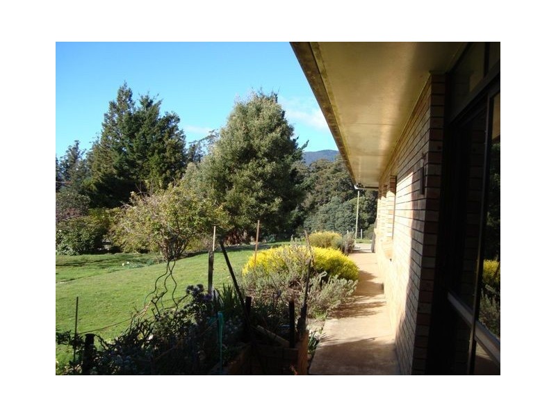 393 Ten Mile Track, Springfield TAS 7260