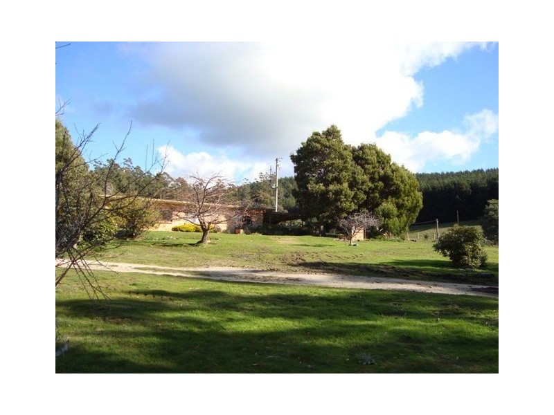393 Ten Mile Track, Springfield TAS 7260