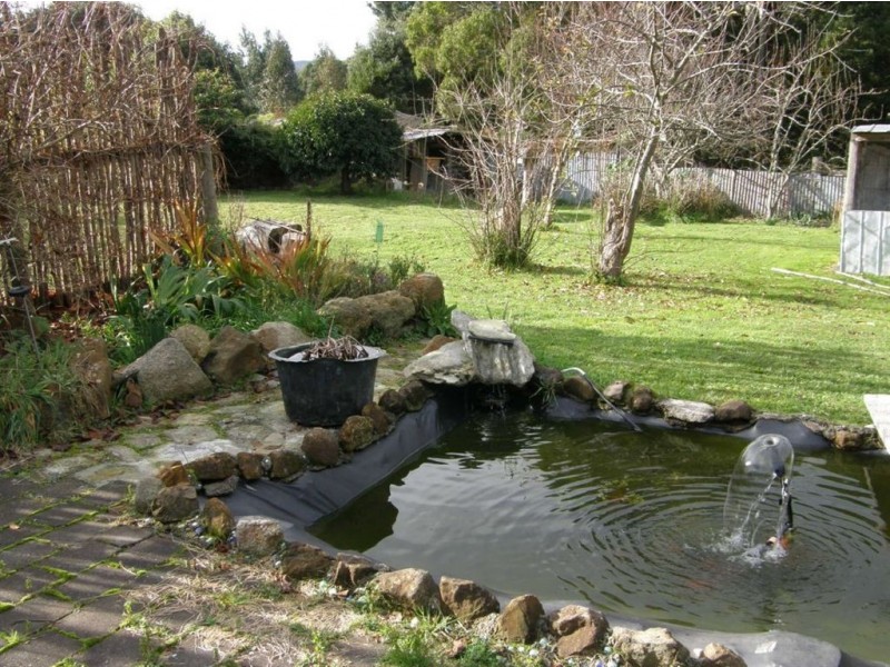 25 Donald Street, Branxholm TAS 7261