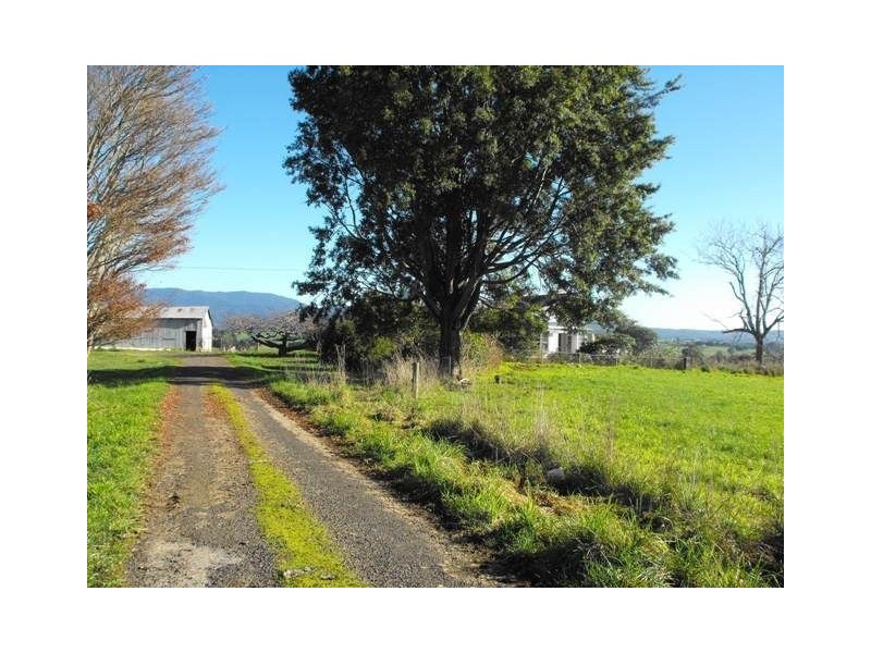 310 Mathina Plains Road, Ringarooma TAS 7263