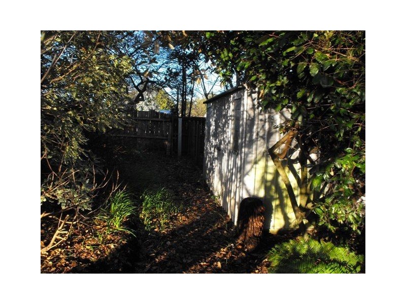 16 Main St, Ringarooma TAS 7263