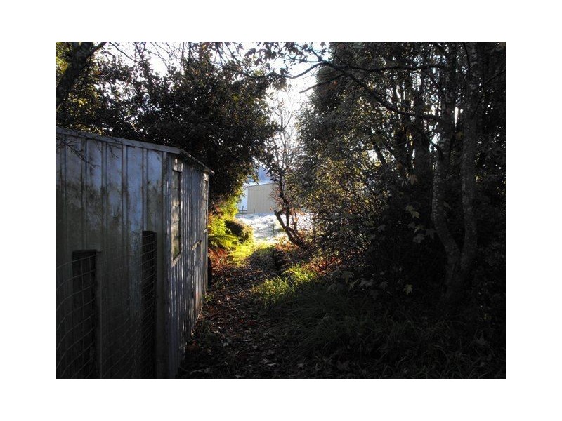 16 Main St, Ringarooma TAS 7263