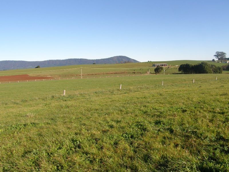 . East Minstone Road, Scottsdale TAS 7260