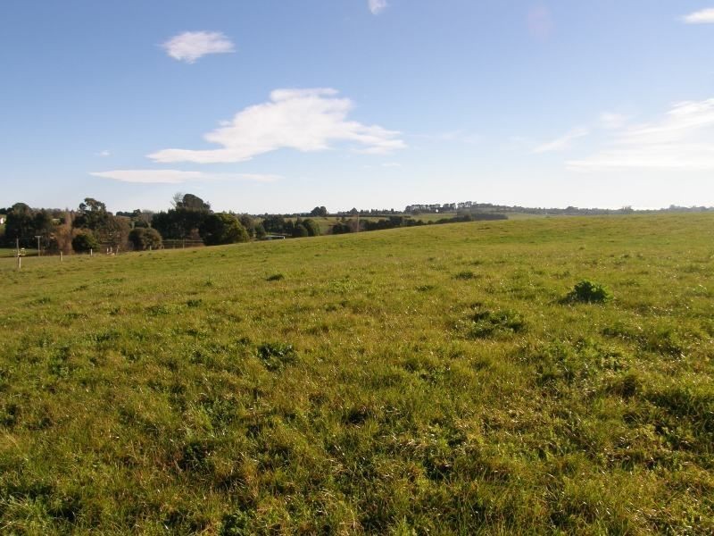 . East Minstone Road, Scottsdale TAS 7260