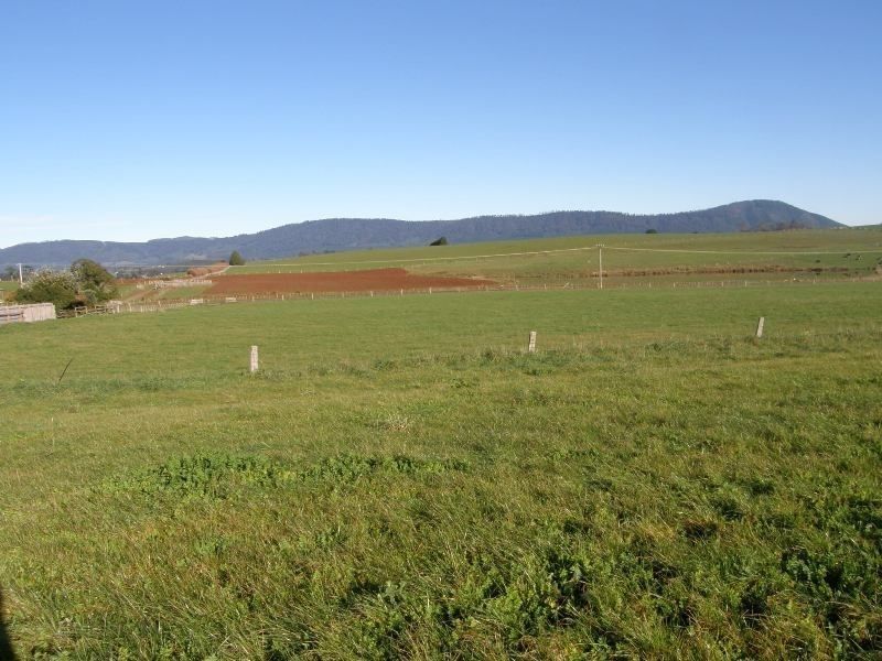 . East Minstone Road, Scottsdale TAS 7260