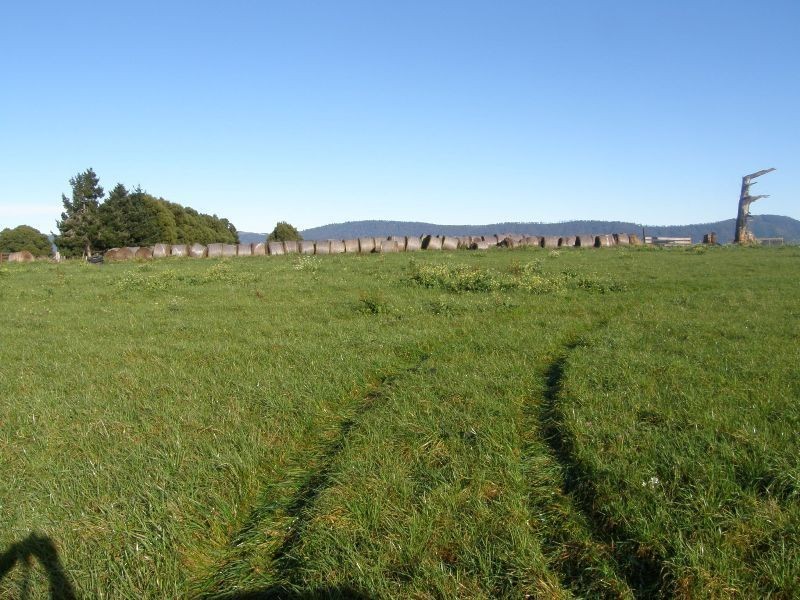 . East Minstone Road, Scottsdale TAS 7260