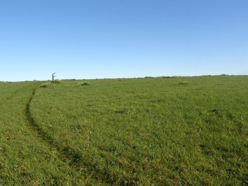 . East Minstone Road, Scottsdale TAS 7260