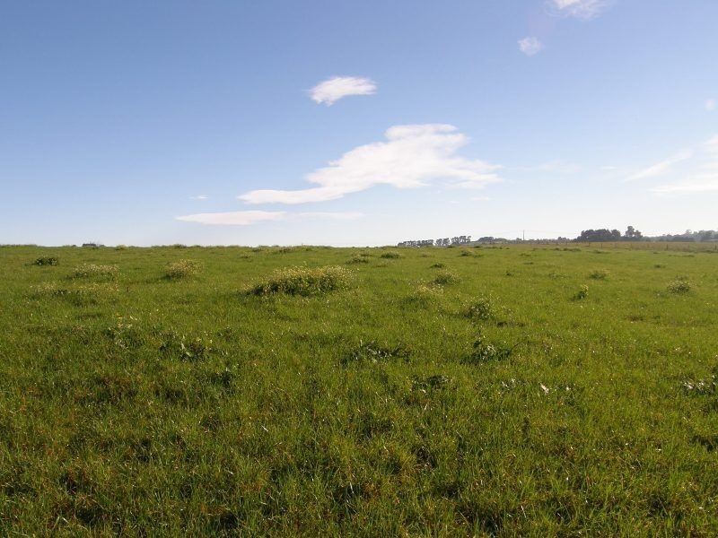 . East Minstone Road, Scottsdale TAS 7260