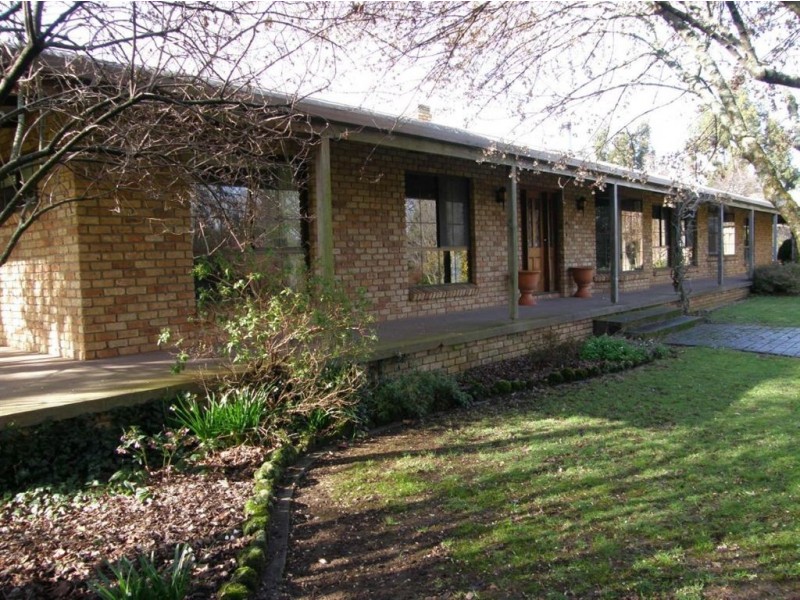 251 East Minstone Road, Scottsdale TAS 7260