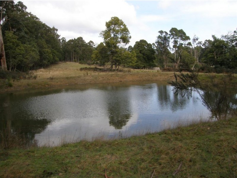 2 McKenzie Valley Road, Scottsdale TAS 7260