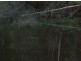 . Mutual Road, Derby TAS 7264