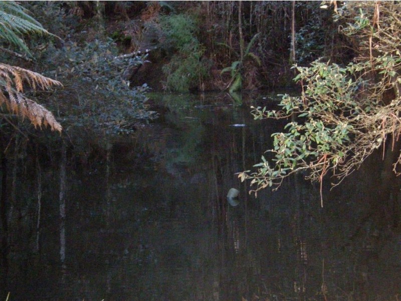 . Mutual Road, Derby TAS 7264