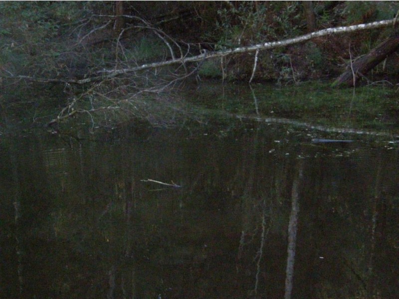 . Mutual Road, Derby TAS 7264