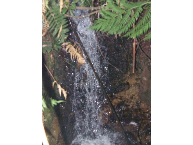 . Mutual Road, Derby TAS 7264