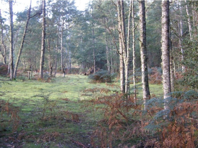 . Mutual Road, Derby TAS 7264