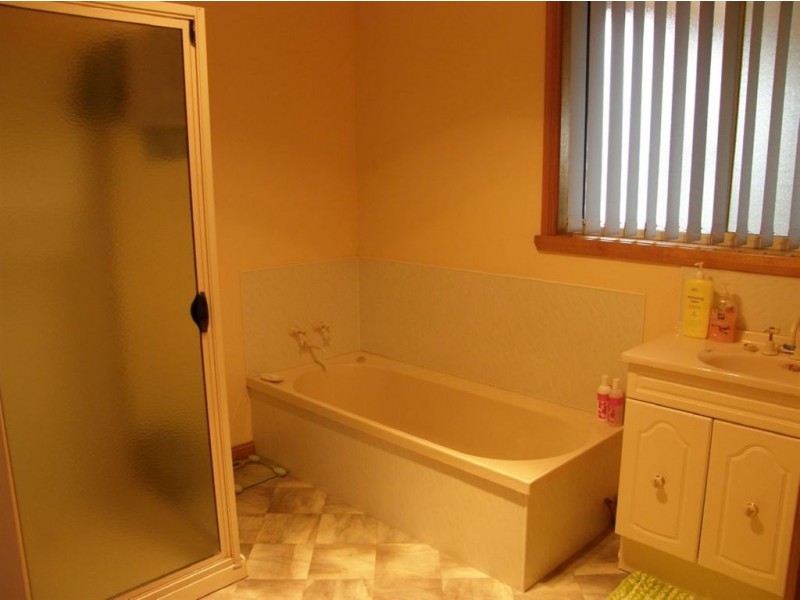 545 Derby Back Road, Derby TAS 7264