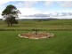 545 Derby Back Road, Derby TAS 7264
