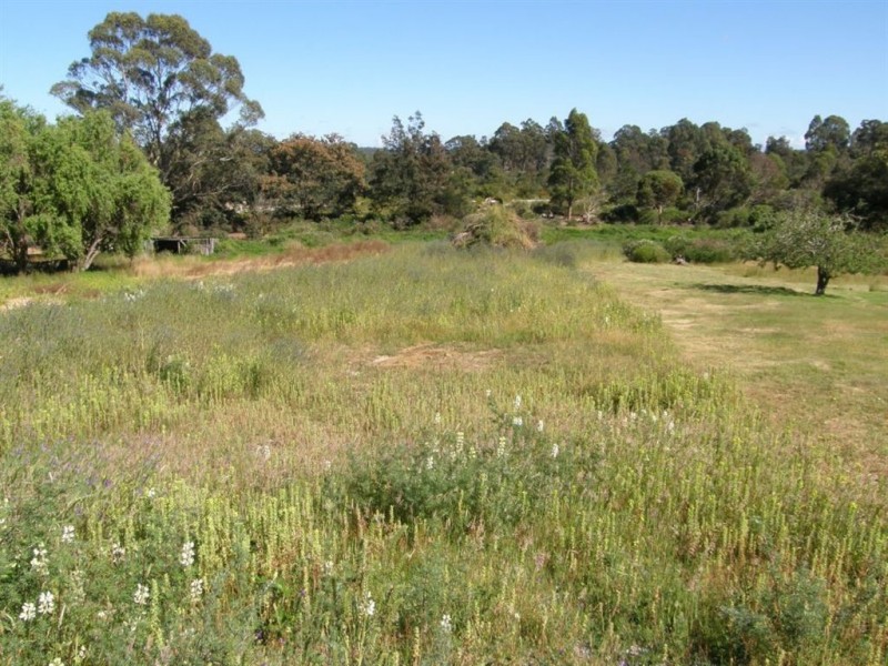 33 Main Street, Pioneer TAS 7264