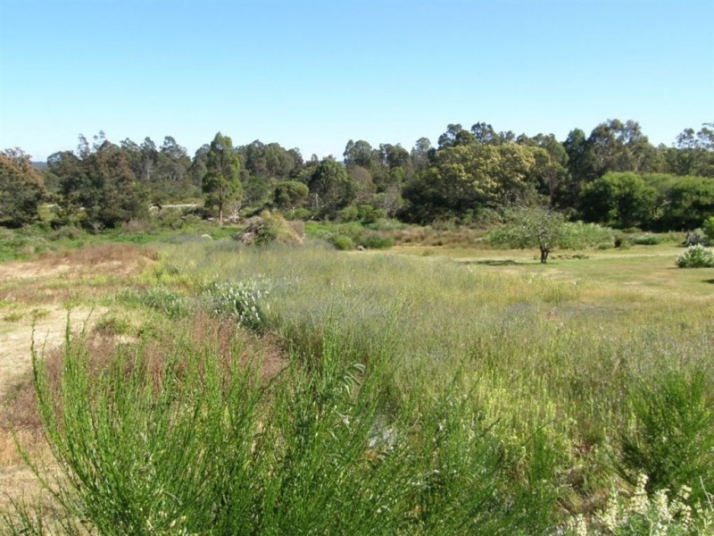 33 Main Street, Pioneer TAS 7264