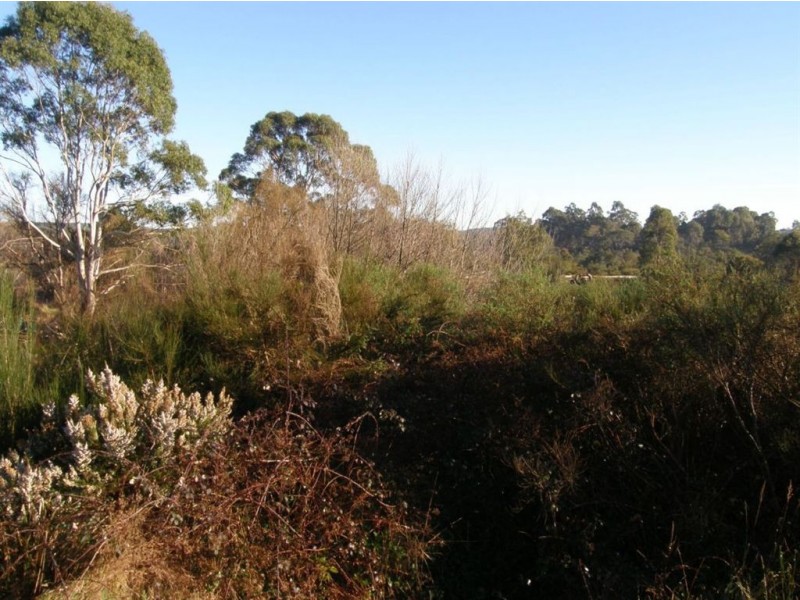 33 Main Street, Pioneer TAS 7264