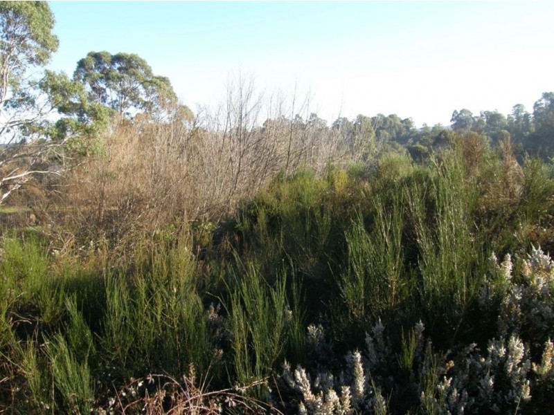 33 Main Street, Pioneer TAS 7264