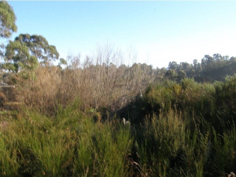 33 Main Street, Pioneer TAS 7264