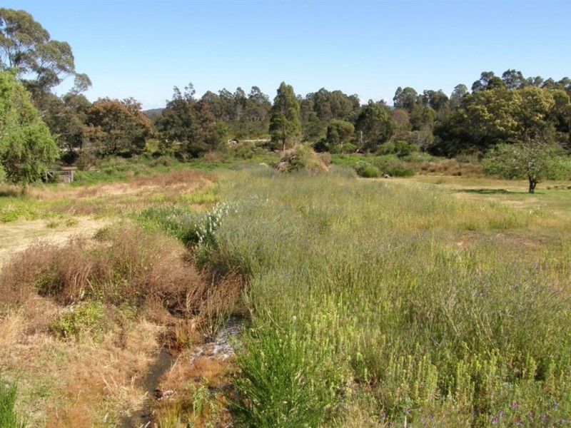 33 Main Street, Pioneer TAS 7264