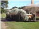 80 Barnbougle Road, Scottsdale TAS 7260