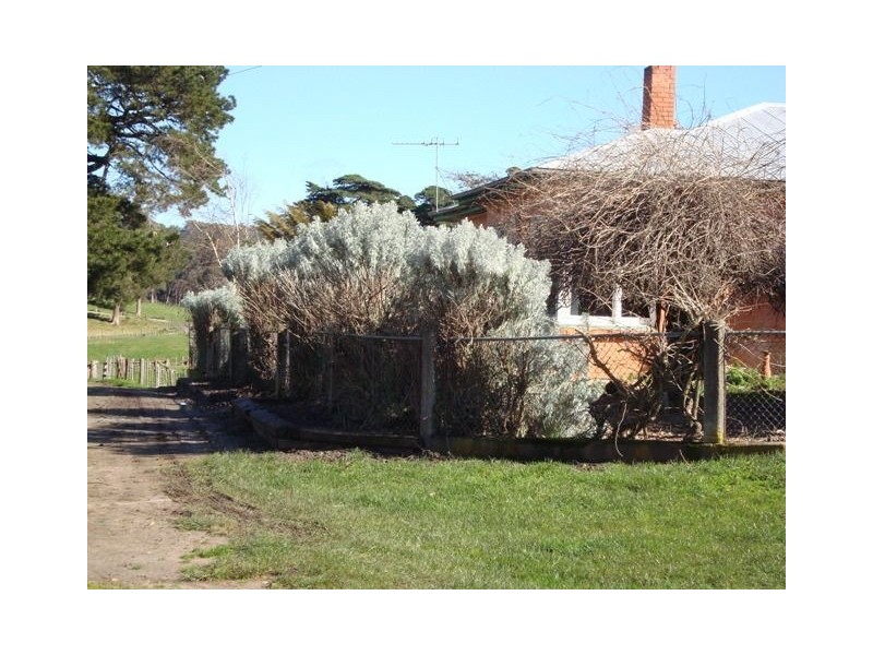 80 Barnbougle Road, Scottsdale TAS 7260