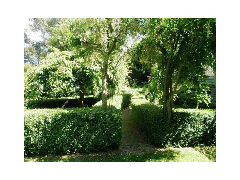 300 Forsyths Hill Road, Ringarooma TAS 7263