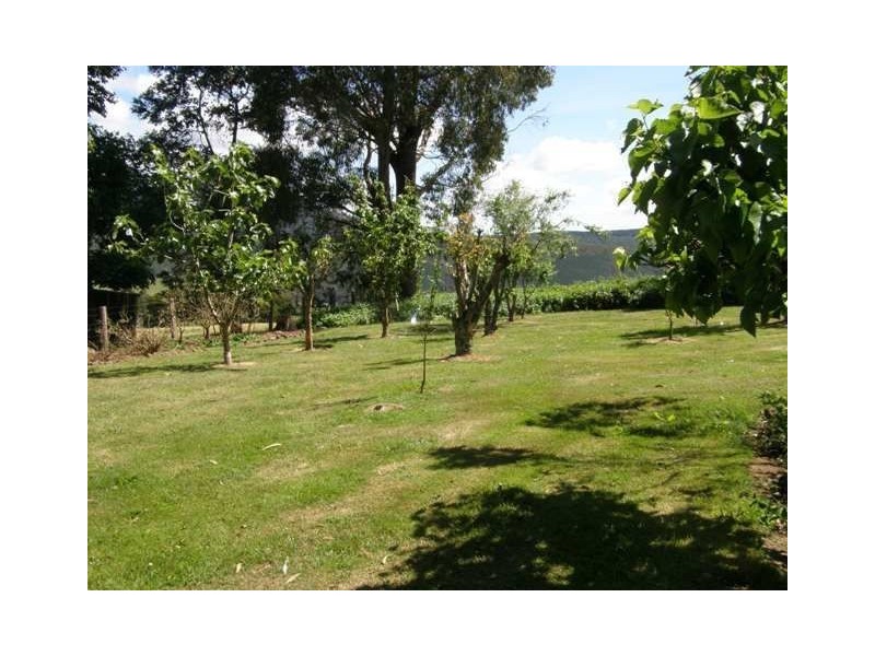 300 Forsyths Hill Road, Ringarooma TAS 7263