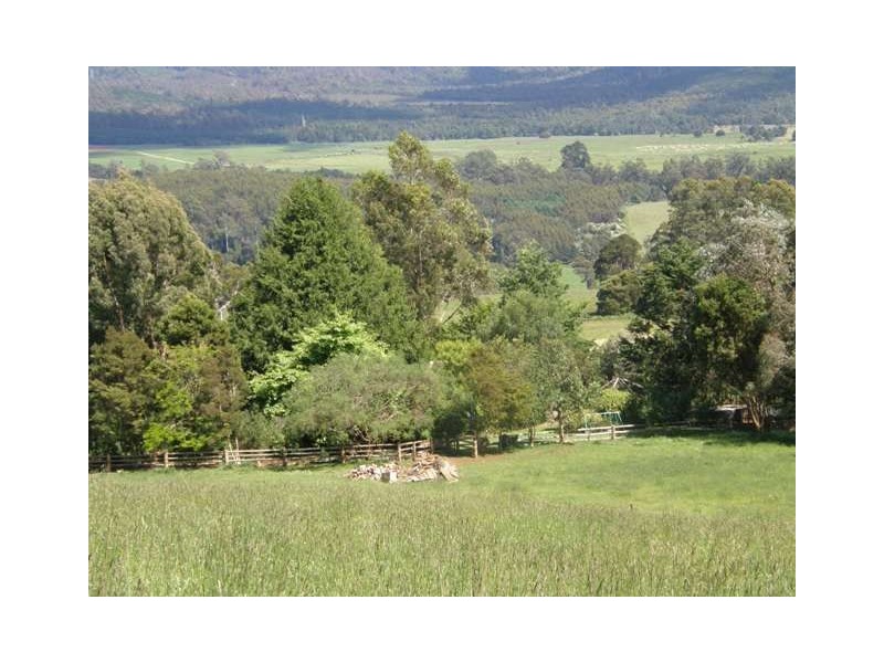 300 Forsyths Hill Road, Ringarooma TAS 7263