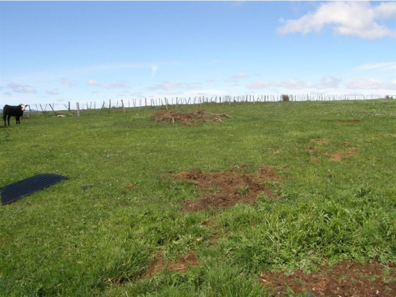 102 Browns Road, Scottsdale TAS 7260