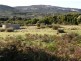 Lot 77 Thunder & Lightning Road, Cape Barren Island TAS 7257