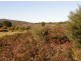 Lot 77 Thunder & Lightning Road, Cape Barren Island TAS 7257