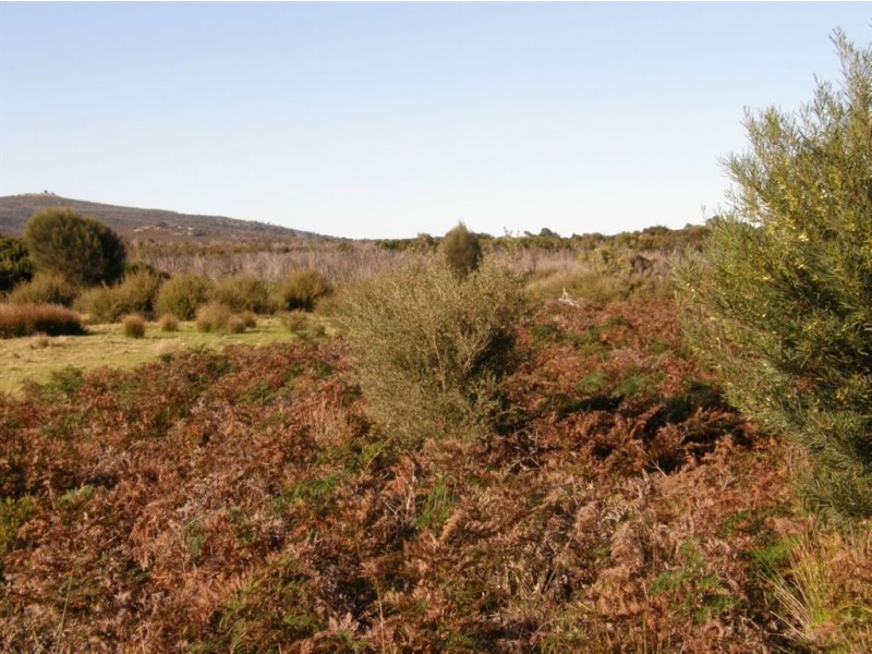Lot 77 Thunder & Lightning Road, Cape Barren Island TAS 7257