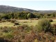 Lot 77 Thunder & Lightning Road, Cape Barren Island TAS 7257