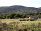 Lot 77 Thunder & Lightning Road, Cape Barren Island TAS 7257