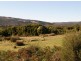 Lot 77 Thunder & Lightning Road, Cape Barren Island TAS 7257