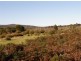 Lot 77 Thunder & Lightning Road, Cape Barren Island TAS 7257