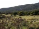 Lot 77 Thunder & Lightning Road, Cape Barren Island TAS 7257
