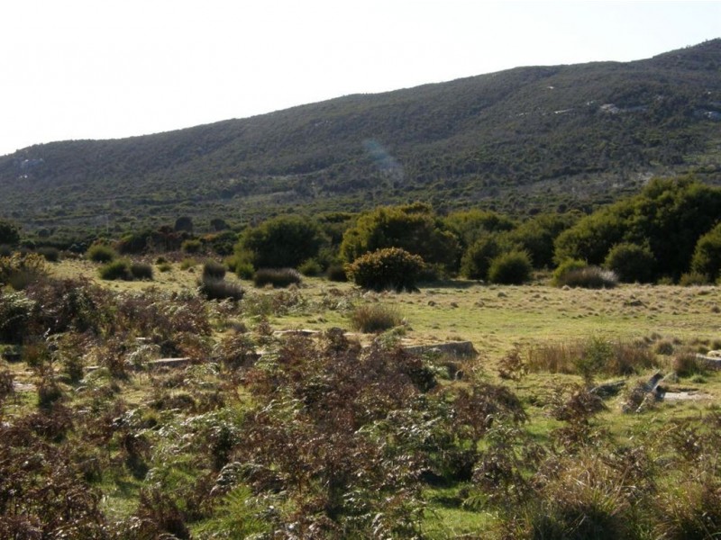 Lot 77 Thunder & Lightning Road, Cape Barren Island TAS 7257